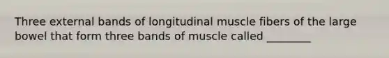 Three external bands of longitudinal muscle fibers of the large bowel that form three bands of muscle called ________