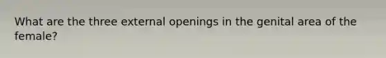 What are the three external openings in the genital area of the female?