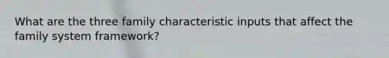 What are the three family characteristic inputs that affect the family system framework?