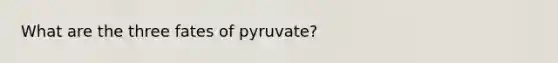 What are the three fates of pyruvate?