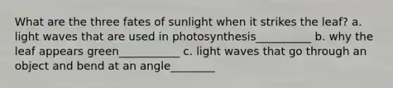 What are the three fates of sunlight when it strikes the leaf? a. light waves that are used in photosynthesis__________ b. why the leaf appears green___________ c. light waves that go through an object and bend at an angle________