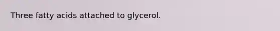 Three fatty acids attached to glycerol.