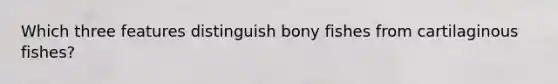 Which three features distinguish bony fishes from cartilaginous fishes?