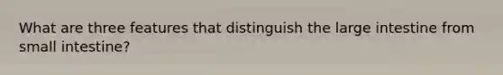 What are three features that distinguish the large intestine from small intestine?