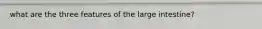 what are the three features of the large intestine?