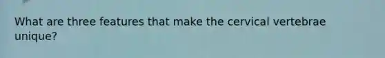 What are three features that make the cervical vertebrae unique?