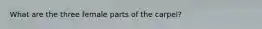 What are the three female parts of the carpel?