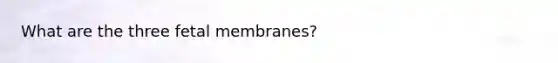 What are the three fetal membranes?