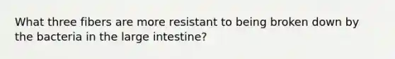 What three fibers are more resistant to being broken down by the bacteria in the large intestine?