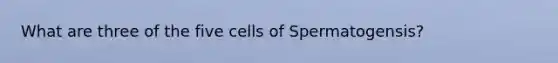 What are three of the five cells of Spermatogensis?