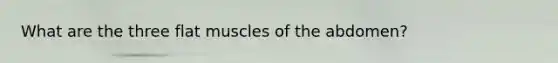 What are the three flat muscles of the abdomen?