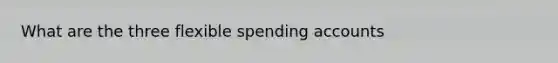 What are the three flexible spending accounts