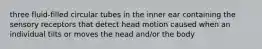 three fluid-filled circular tubes in the inner ear containing the sensory receptors that detect head motion caused when an individual tilts or moves the head and/or the body