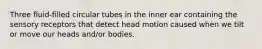 Three fluid-filled circular tubes in the inner ear containing the sensory receptors that detect head motion caused when we tilt or move our heads and/or bodies.