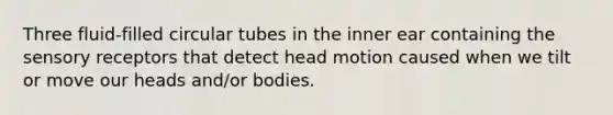 Three fluid-filled circular tubes in the inner ear containing the sensory receptors that detect head motion caused when we tilt or move our heads and/or bodies.