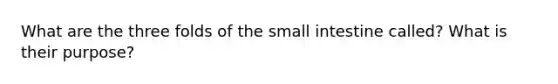 What are the three folds of the small intestine called? What is their purpose?