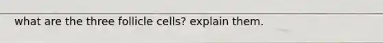 what are the three follicle cells? explain them.