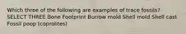 Which three of the following are examples of trace fossils? SELECT THREE Bone Footprint Burrow mold Shell mold Shell cast Fossil poop (coprolites)