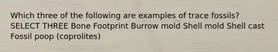 Which three of the following are examples of trace fossils? SELECT THREE Bone Footprint Burrow mold Shell mold Shell cast Fossil poop (coprolites)