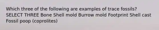 Which three of the following are examples of trace fossils? SELECT THREE Bone Shell mold Burrow mold Footprint Shell cast Fossil poop (coprolites)