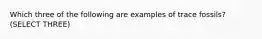 Which three of the following are examples of trace fossils? (SELECT THREE)