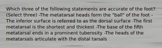 Which three of the following statements are accurate of the foot? (Select three) -The metatarsal heads form the "ball" of the foot -The inferior surface is referred to as the dorsal surface -The first metatarsal is the shortest and thickest -The base of the fifth metatarsal ends in a prominent tuberosity -The heads of the metatarsals articulate with the distal tarsals