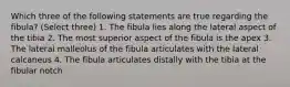 Which three of the following statements are true regarding the fibula? (Select three) 1. The fibula lies along the lateral aspect of the tibia 2. The most superior aspect of the fibula is the apex 3. The lateral malleolus of the fibula articulates with the lateral calcaneus 4. The fibula articulates distally with the tibia at the fibular notch