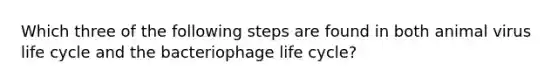 Which three of the following steps are found in both animal virus life cycle and the bacteriophage life cycle?