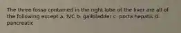 The three fossa contained in the right lobe of the liver are all of the following except a. IVC b. gallbladder c. porta hepatis d. pancreatic