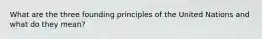 What are the three founding principles of the United Nations and what do they mean?