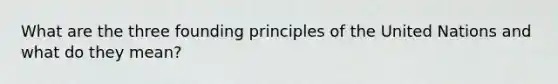 What are the three founding principles of the United Nations and what do they mean?