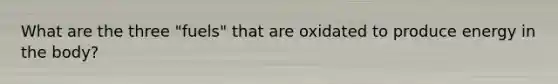 What are the three "fuels" that are oxidated to produce energy in the body?