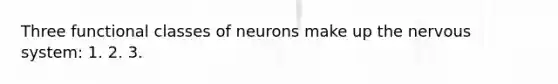 Three functional classes of neurons make up the nervous system: 1. 2. 3.