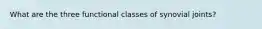 What are the three functional classes of synovial joints?