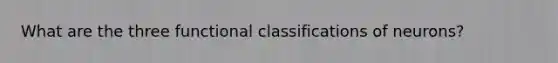 What are the three functional classifications of neurons?