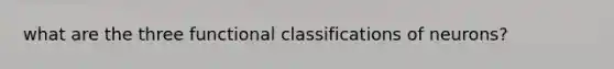 what are the three functional classifications of neurons?