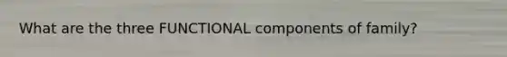 What are the three FUNCTIONAL components of family?