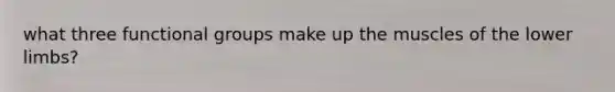 what three functional groups make up the muscles of the lower limbs?