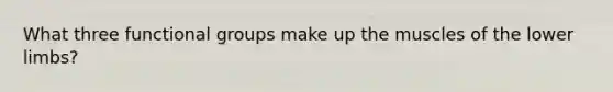 What three functional groups make up the muscles of the <a href='https://www.questionai.com/knowledge/kF4ILRdZqC-lower-limb' class='anchor-knowledge'>lower limb</a>s?