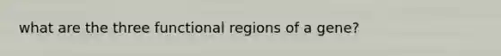 what are the three functional regions of a gene?