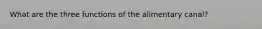 What are the three functions of the alimentary canal?
