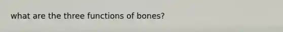 what are the three functions of bones?