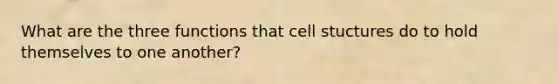 What are the three functions that cell stuctures do to hold themselves to one another?