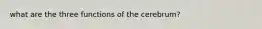 what are the three functions of the cerebrum?