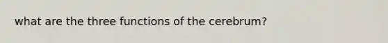 what are the three functions of the cerebrum?