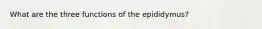 What are the three functions of the epididymus?