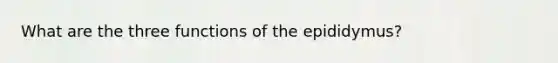 What are the three functions of the epididymus?