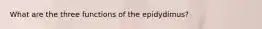 What are the three functions of the epidydimus?