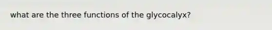 what are the three functions of the glycocalyx?