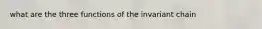 what are the three functions of the invariant chain